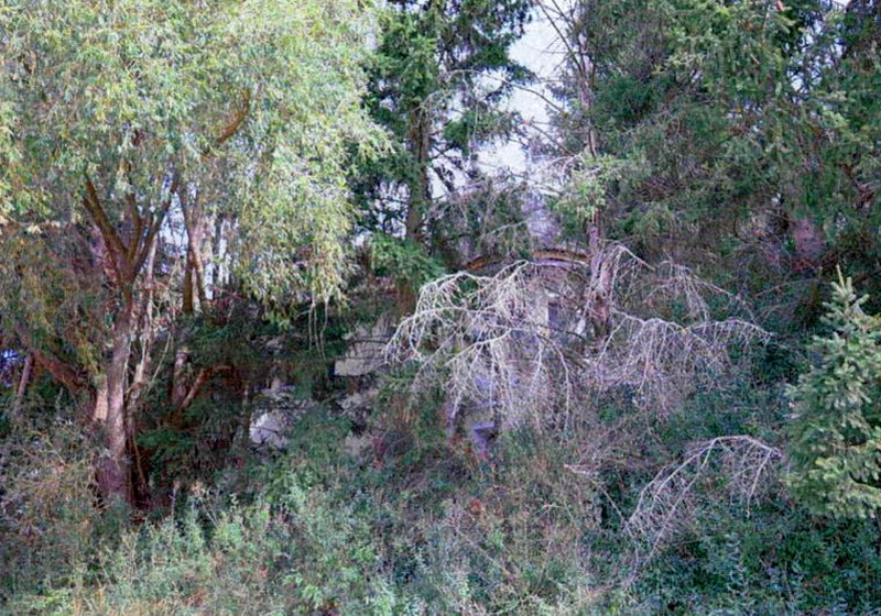 Wohnen/Gewerbe in Werenzhainer Ziegelei 2, 03253 Doberlug-Kirchhain OT Werenzhain - Bild 2