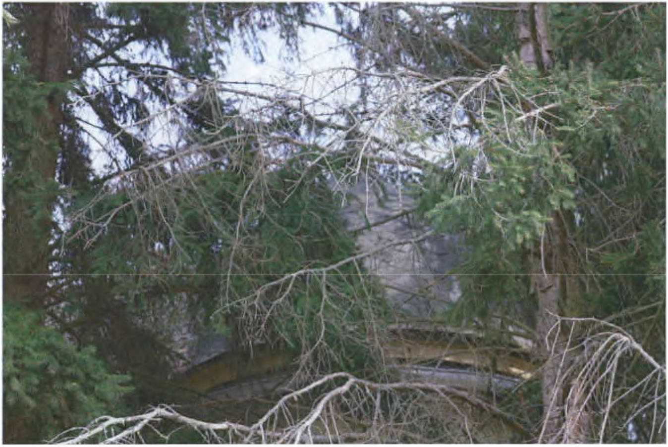 brandenburg 15 K 36/23 Werenzhainer Ziegelei 2, 03253 Doberlug-Kirchhain OT Werenzhain 12