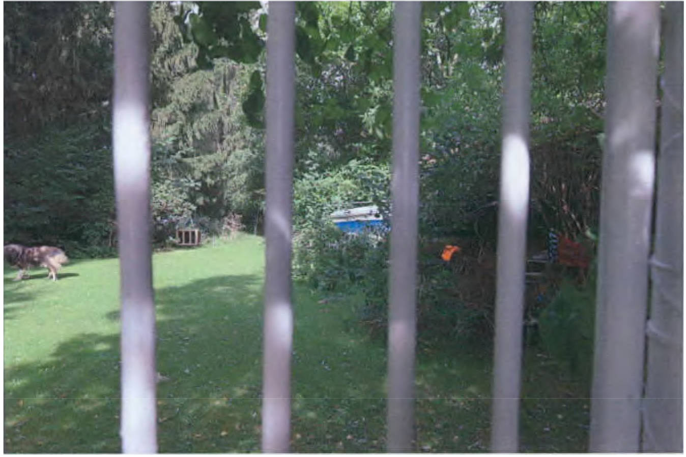 brandenburg 15 K 36/23 Werenzhainer Ziegelei 2, 03253 Doberlug-Kirchhain OT Werenzhain 26