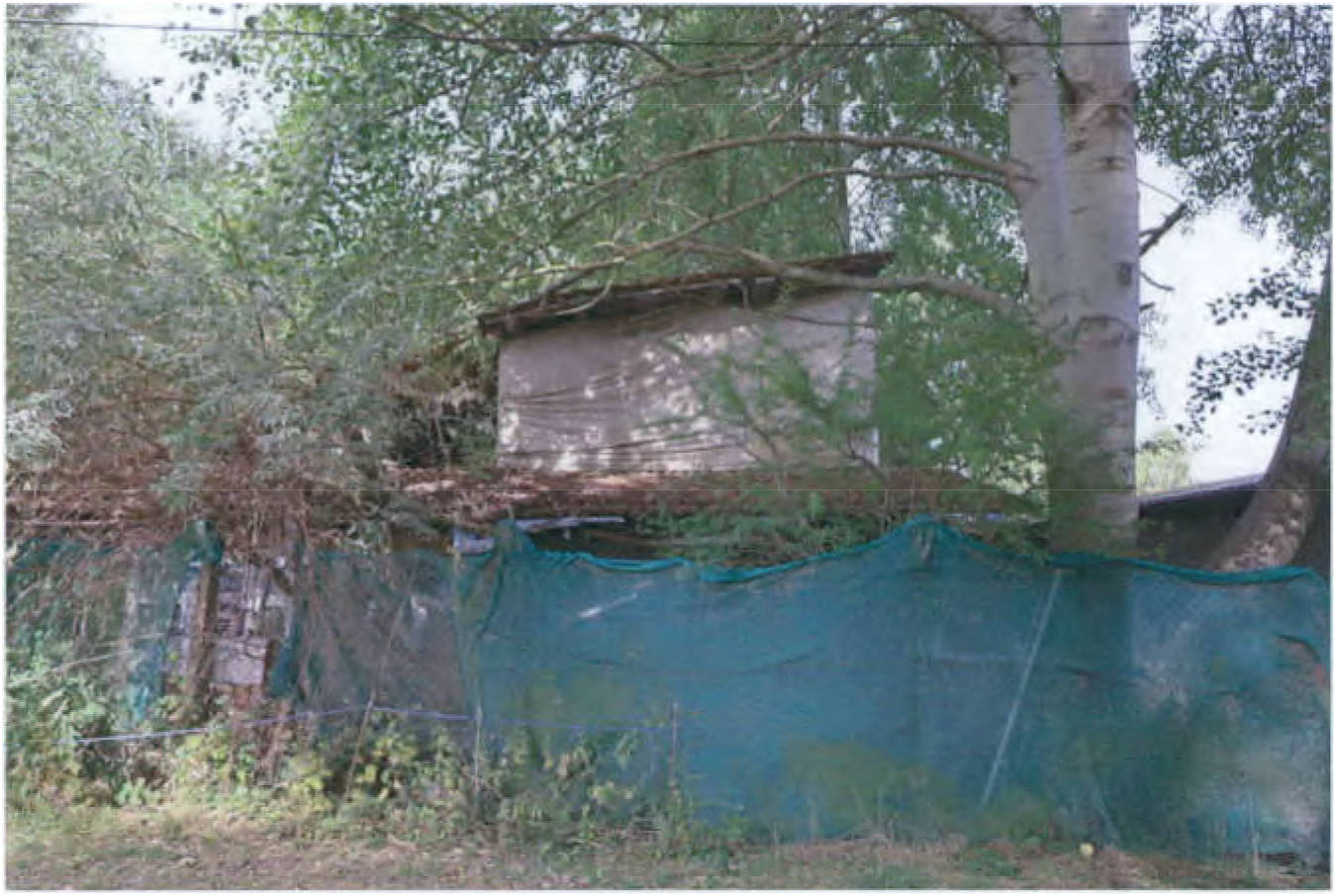 brandenburg 15 K 36/23 Werenzhainer Ziegelei 2, 03253 Doberlug-Kirchhain OT Werenzhain 17