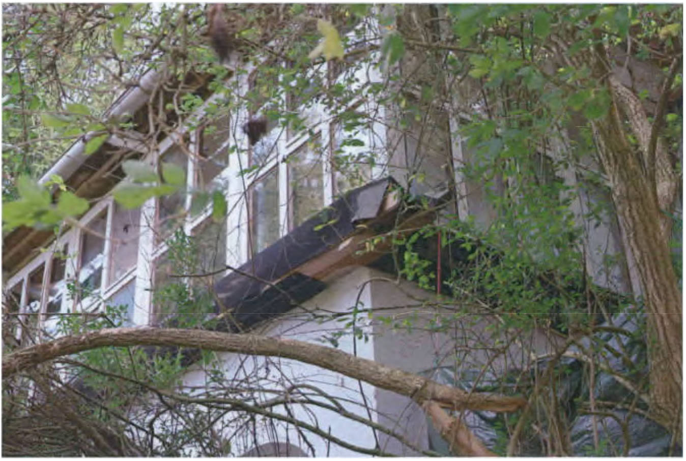 brandenburg 15 K 36/23 Werenzhainer Ziegelei 2, 03253 Doberlug-Kirchhain OT Werenzhain 9