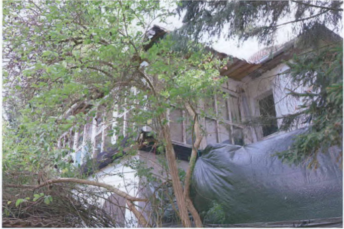 Wohnen/Gewerbe in Werenzhainer Ziegelei 2, 03253 Doberlug-Kirchhain OT Werenzhain