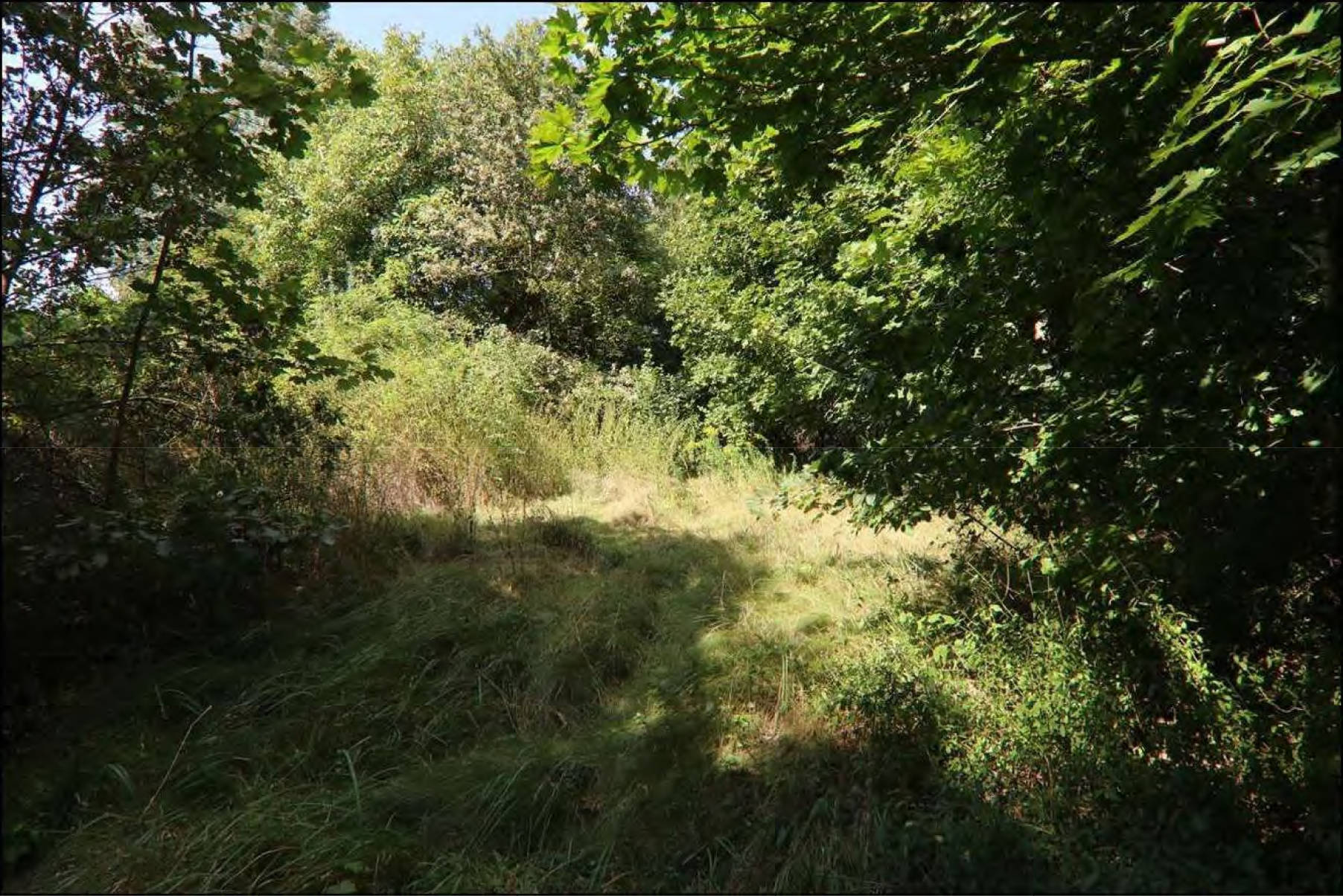 brandenburg 15 K 38/24 Torgauer Straße, 03253 Doberlug-Kirchhain 9