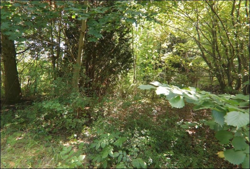 brandenburg 15 K 38/24 Torgauer Straße, 03253 Doberlug-Kirchhain 10