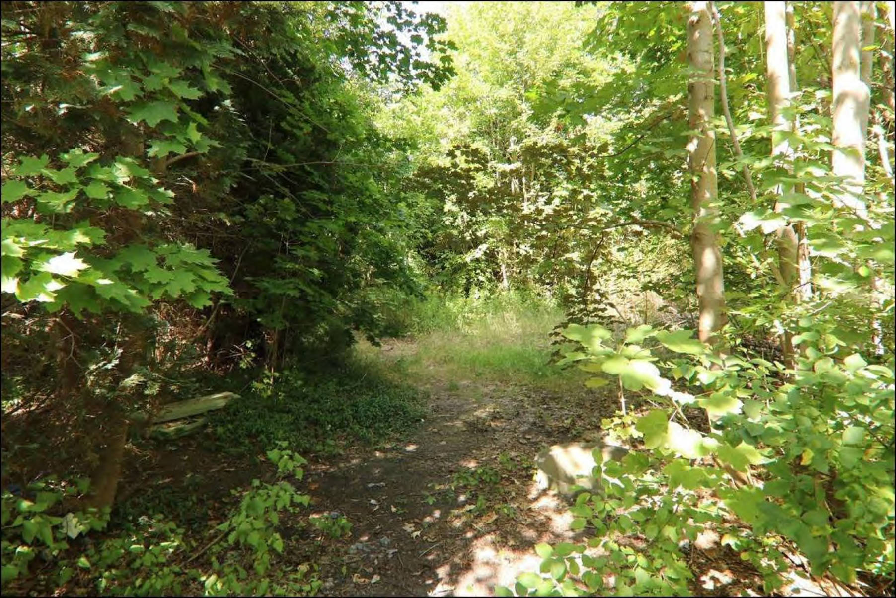 brandenburg 15 K 38/24 Torgauer Straße, 03253 Doberlug-Kirchhain 15
