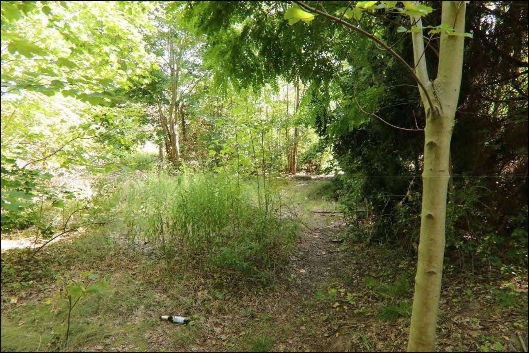 brandenburg 15 K 38/24 Torgauer Straße, 03253 Doberlug-Kirchhain 11
