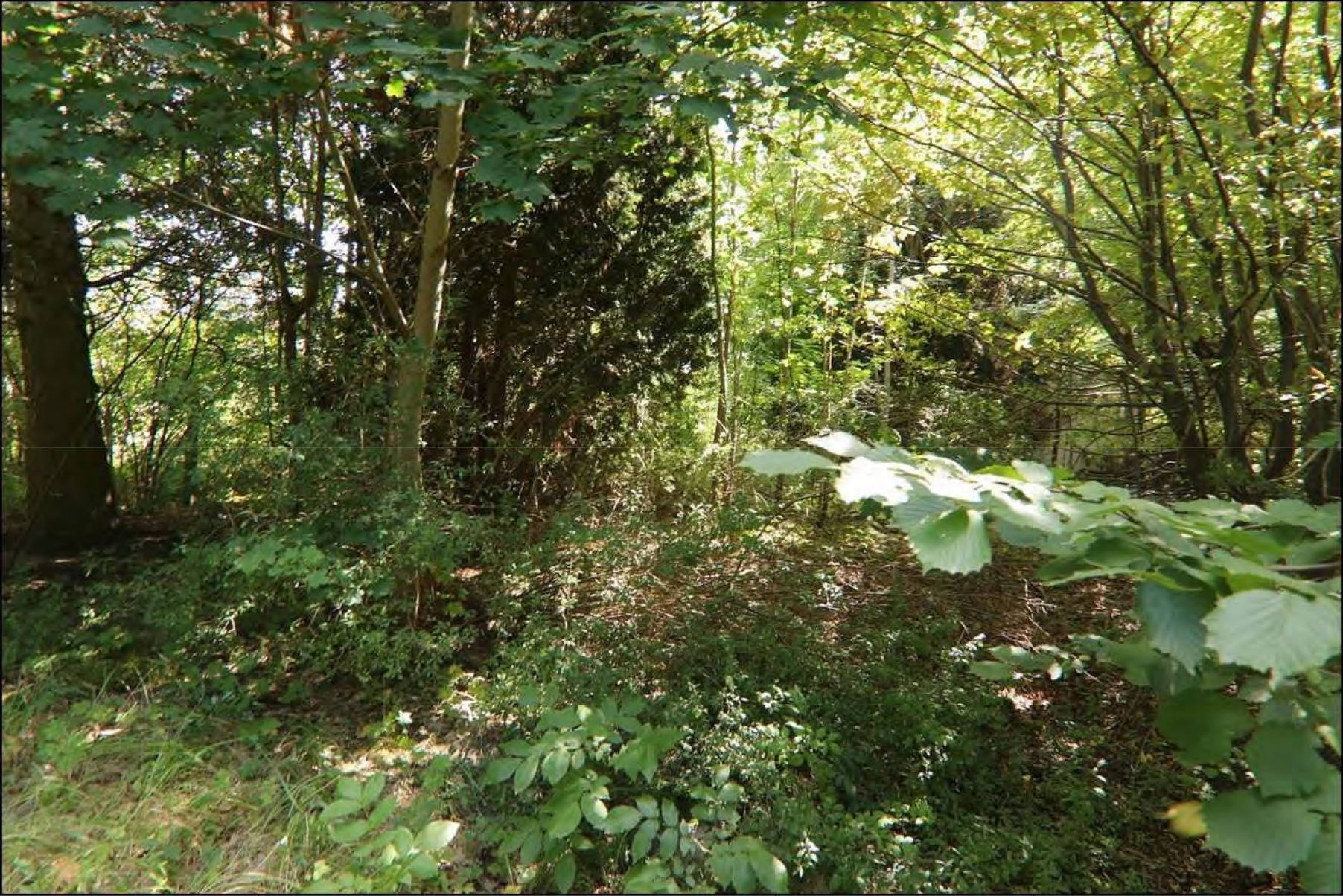 brandenburg 15 K 38/24 Torgauer Straße, 03253 Doberlug-Kirchhain 13