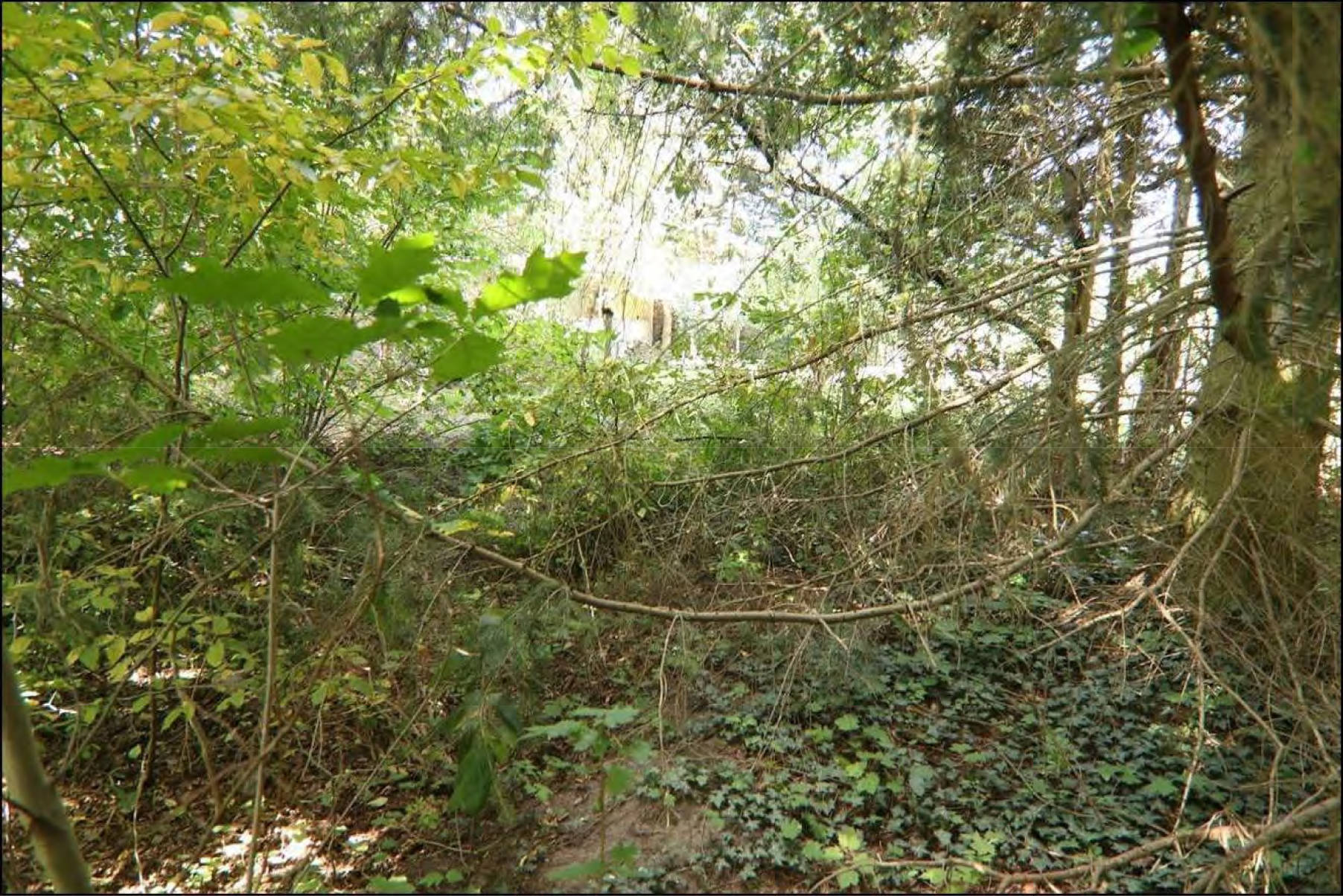 brandenburg 15 K 38/24 Torgauer Straße, 03253 Doberlug-Kirchhain 7