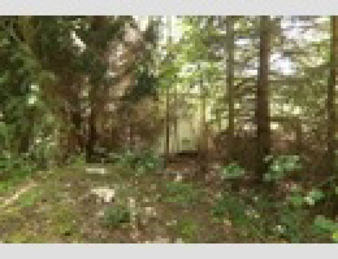 brandenburg 15 K 38/24 Torgauer Straße, 03253 Doberlug-Kirchhain 8