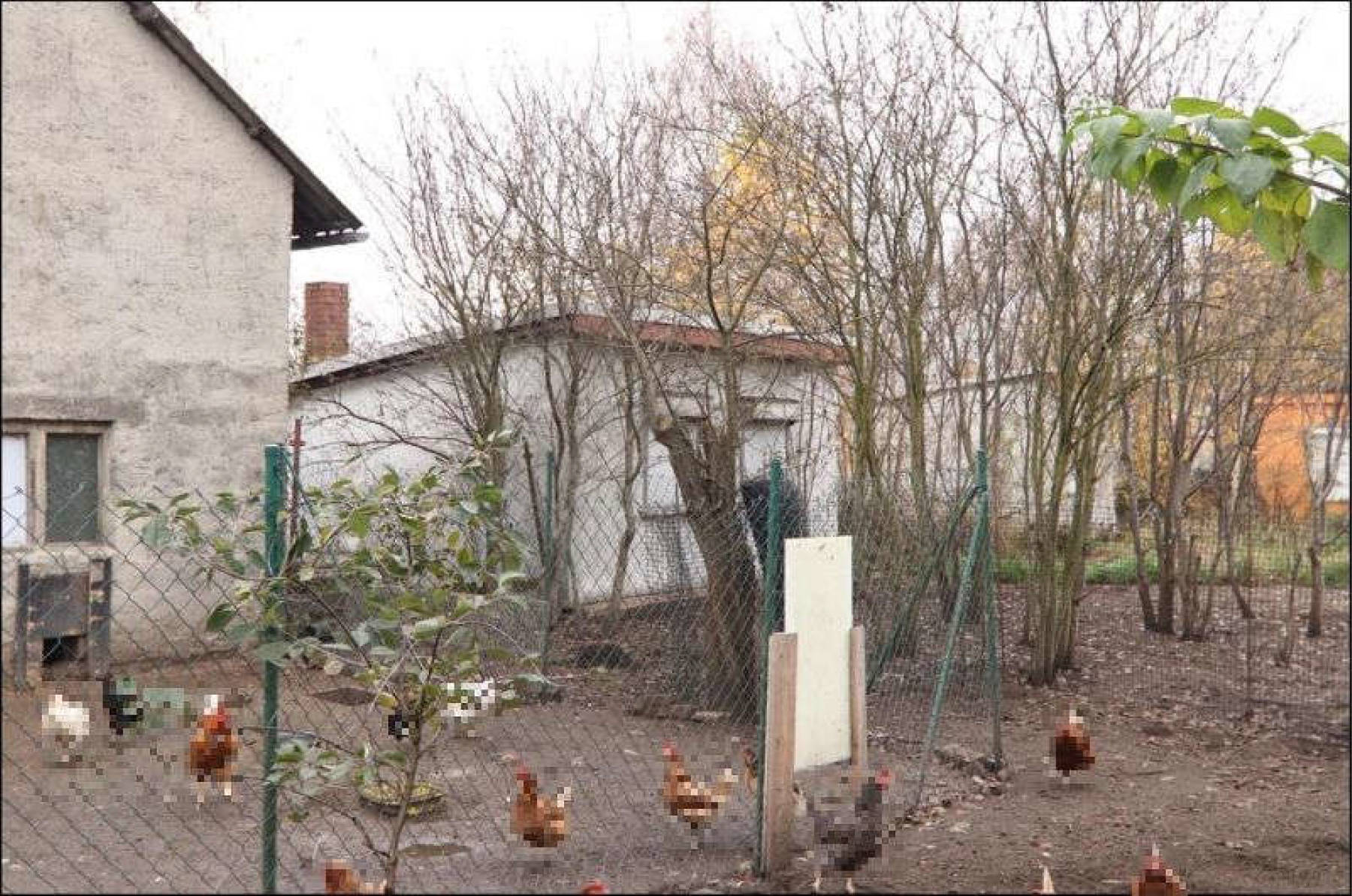 brandenburg 15 K 40/24 Wiesenstraße 3, 03253 Doberlug-Kirchhain 12