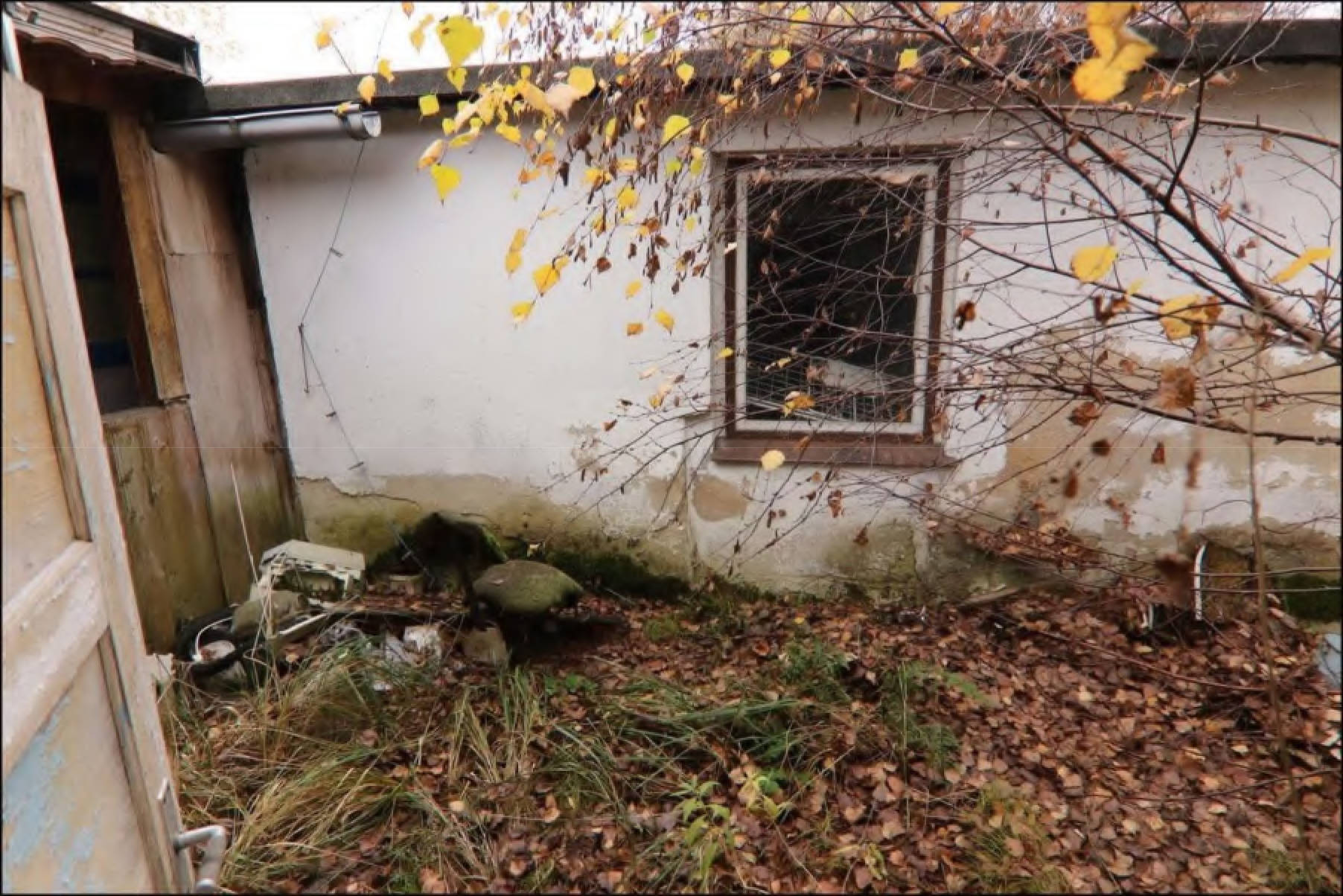 brandenburg 15 K 40/24 Wiesenstraße 3, 03253 Doberlug-Kirchhain 10
