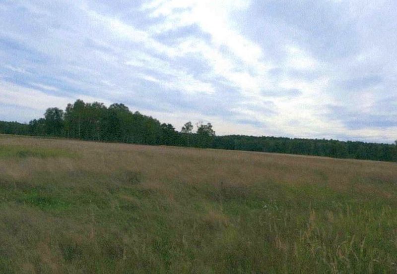 brandenburg 15 K 42-23 Döllinger Straße 7, 04934 Hohenleipisch 7