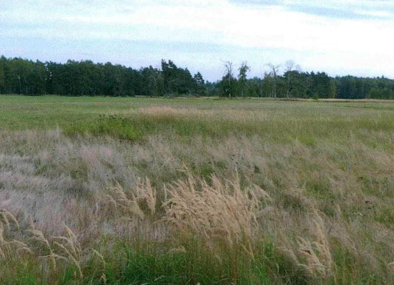 brandenburg 15 K 42-23 Döllinger Straße 7, 04934 Hohenleipisch 8
