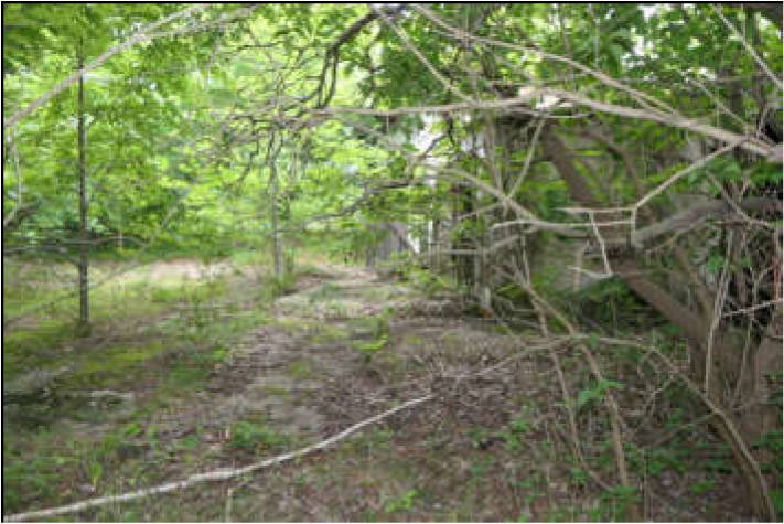 brandenburg 15 K 42/25 Dresdener Straße 45, 47, 04910 Elsterwerda 24