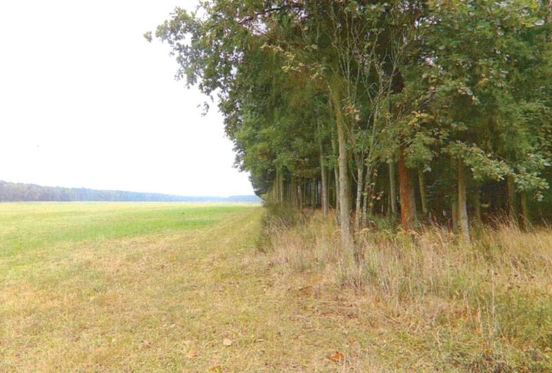 brandenburg 15 K 44-23 , 03238 Finsterwalde OT Sorno