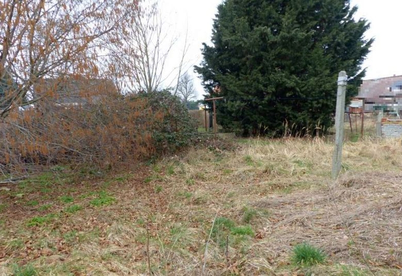 brandenburg 15 K 48-24 Schützenstraße 6, 04895 Falkenberg/Elster
