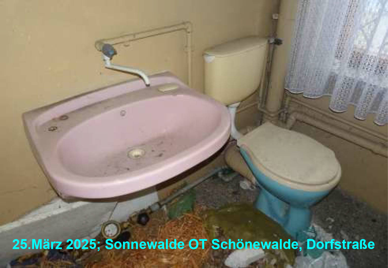 brandenburg 0015 K 0049/2024 Dorfstraße, 03249 Sonnewalde OT Schönewalde 26
