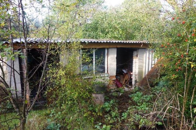 Einfamilienhaus in Theisaer Straße 8, 03253 Schönborn OT Schadewitz - Bild 3