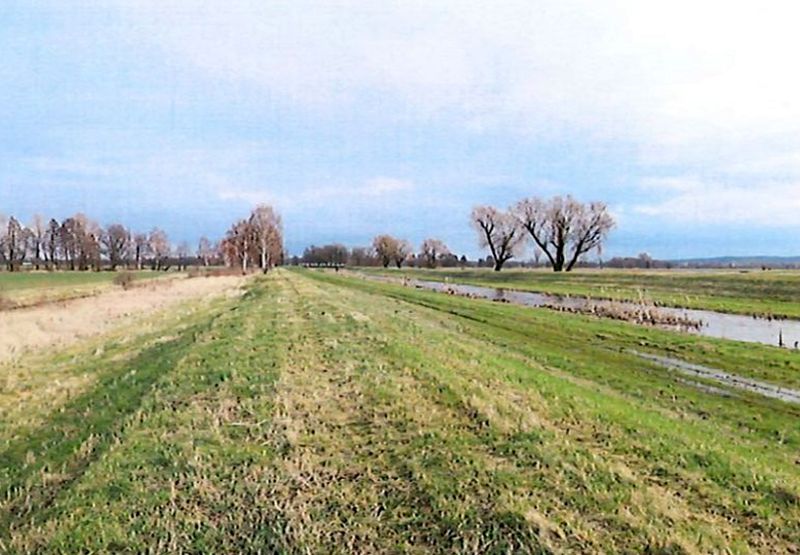 brandenburg 15 K 62/23 Gartenstraße 4, Lindenstraße 32, 04932 Großthiemig 8