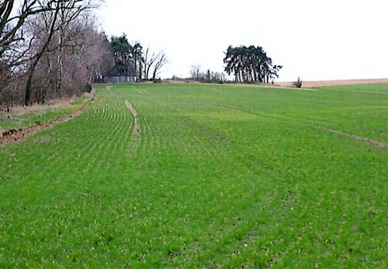 brandenburg 15 K 62/23 Gartenstraße 4, Lindenstraße 32, 04932 Großthiemig 9