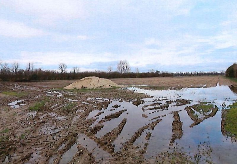 brandenburg 15 K 62/23 Gartenstraße 4, Lindenstraße 32, 04932 Großthiemig 7