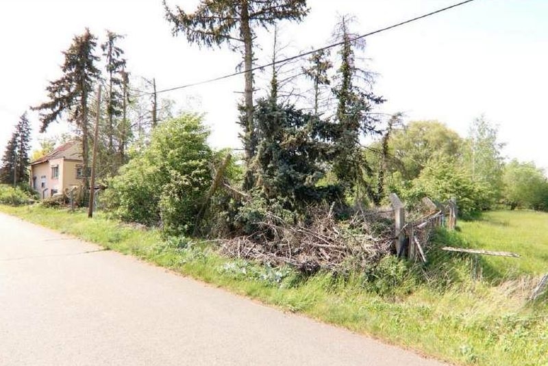Einfamilienhaus in Hinterreihe 58, 64, 04924 Uebigau-Wahrenbrück OT Beiersdorf - Bild 4