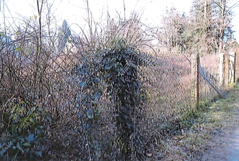Brandenburg 15 K 71-24 Die Kohlhorstgärten, 04924 Bad Liebenwerda
