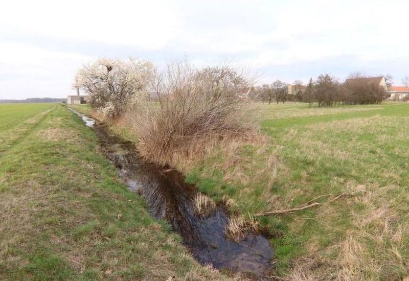 Einfamilienhaus in Lindenstraße 31, 04895 Falkenberg/Elster - Bild 4