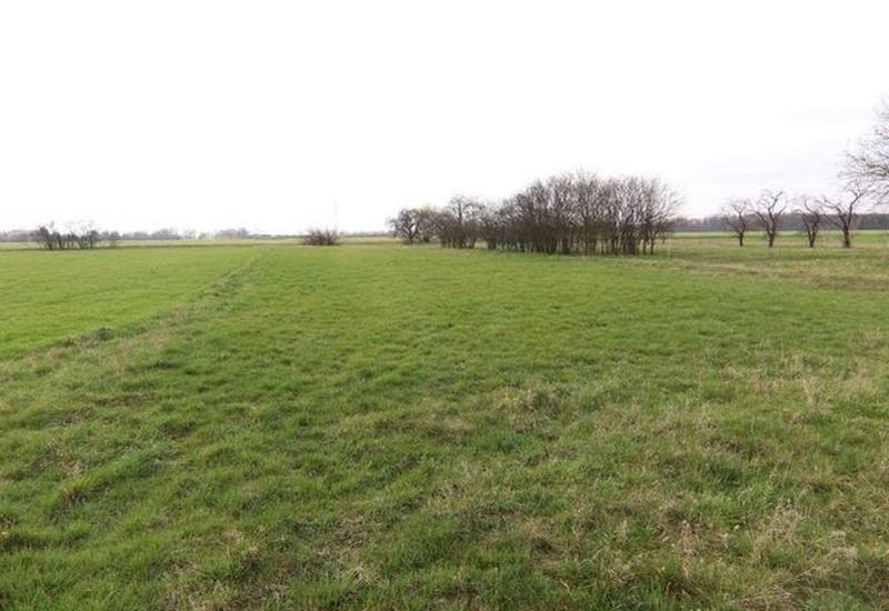 brandenburg 15 K 78/23 Lindenstraße 31, 04895 Falkenberg/Elster 8