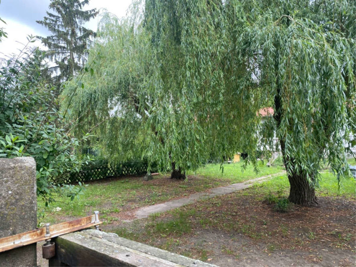 brandenburg 17 K 35/23 Ahrensdorfer Straße 23, 14959 Trebbin 8