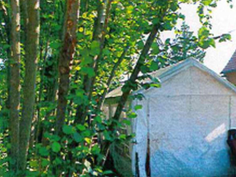 Grundstück in An der Feldstraße 5, 15827 Blankenfelde-Mahlow OT Dahlewitz - Bild 3