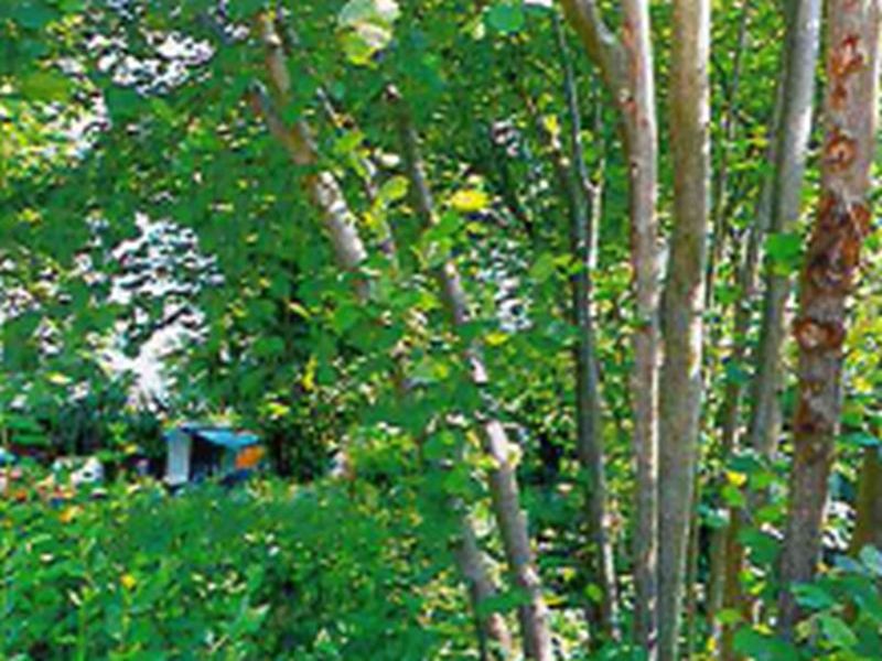 Grundstück in An der Feldstraße 5, 15827 Blankenfelde-Mahlow OT Dahlewitz - Bild 4