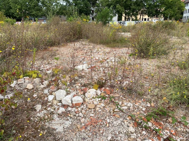 Grundstück in Glasmeisterstraße, 14482 Potsdam-Babelsberg - Bild 5