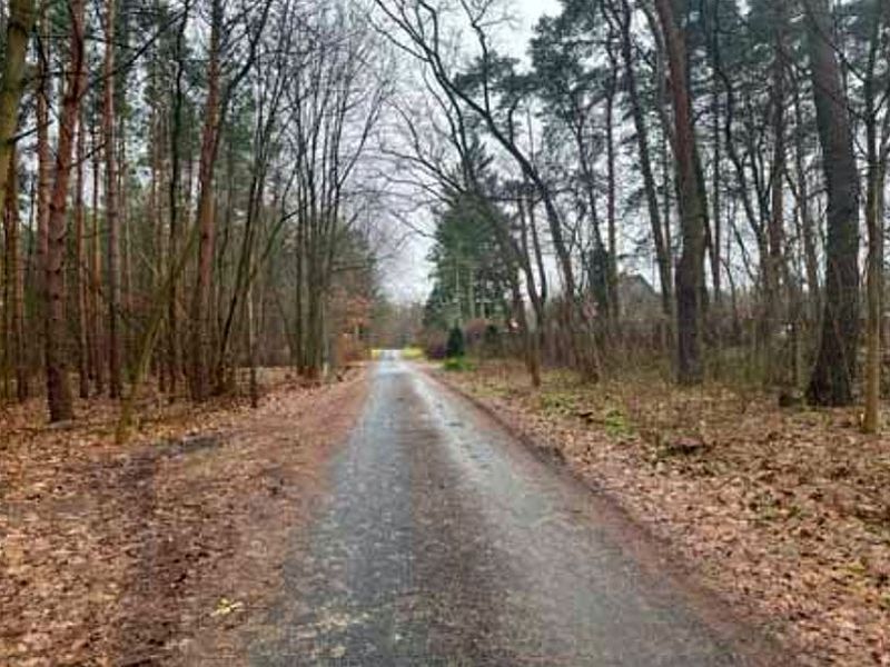Grundstück in Potsdamer Chaussee B2, Bullenwinkel, 14476 Potsdam OT Groß Glienicke - Bild 3