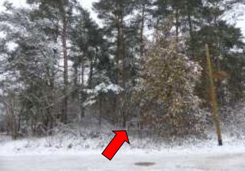 Grundstück in Birkenstraße 14, 14822 Borkwalde