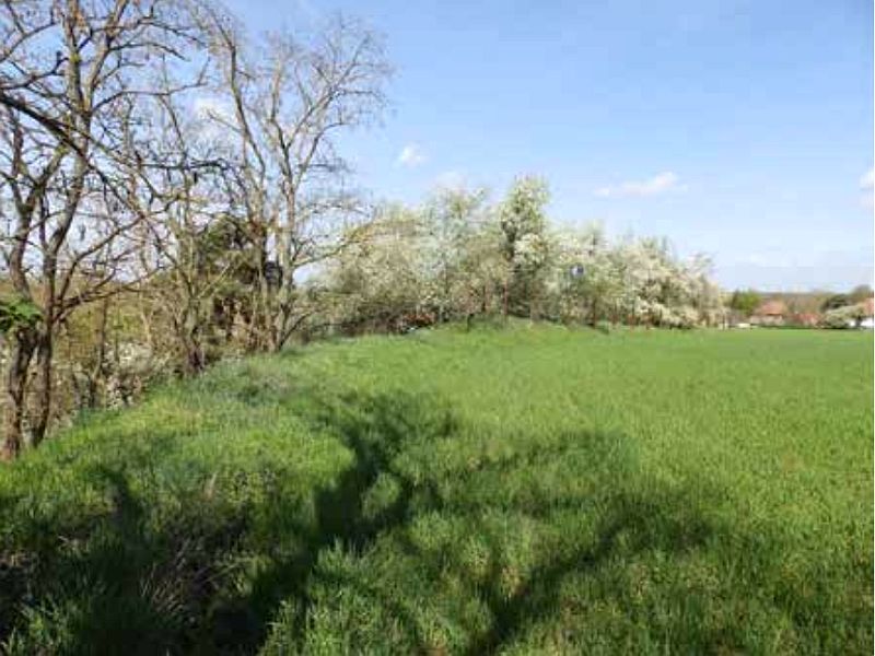 Einfamilienhaus in Etziner Dorfstraße 41a, 14669 Ketzin/Havel OT Etzin - Bild 5