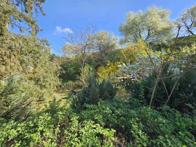 brandenburg 2 K 128/24 Etziner Dorfstraße 41a, 14669 Ketzin/Havel OT Etzin 7