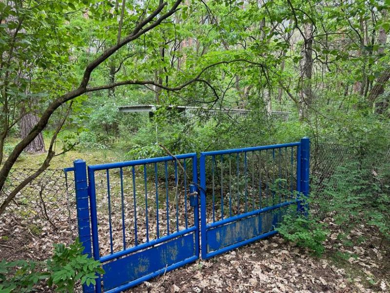 Grundstück in Eichendorffstraße 44a, 14547 Beelitz OT Fichtenwalde - Bild 2