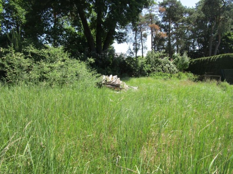 Einfamilienhaus, Einfamilienhaus in Käthe-Kollwitz-Straße 5, 14712 Rathenow - Bild 5