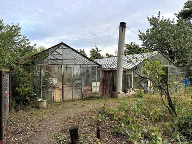 Grundstück in Langer Grund, 14542 Werder (Havel) OT Glindow