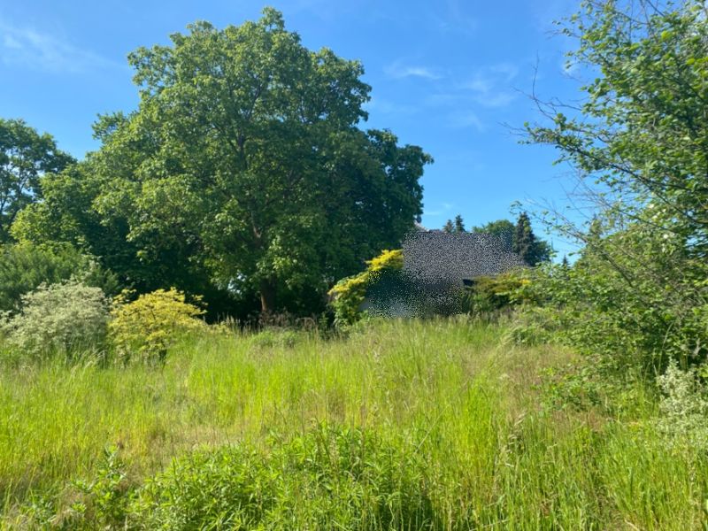 Grundstück in Heckmannstraße 19, 14612 Falkensee - Bild 3