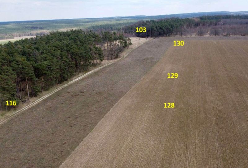 Land-/Forstwirtschaft in , 14828 Görzke - Bild 2