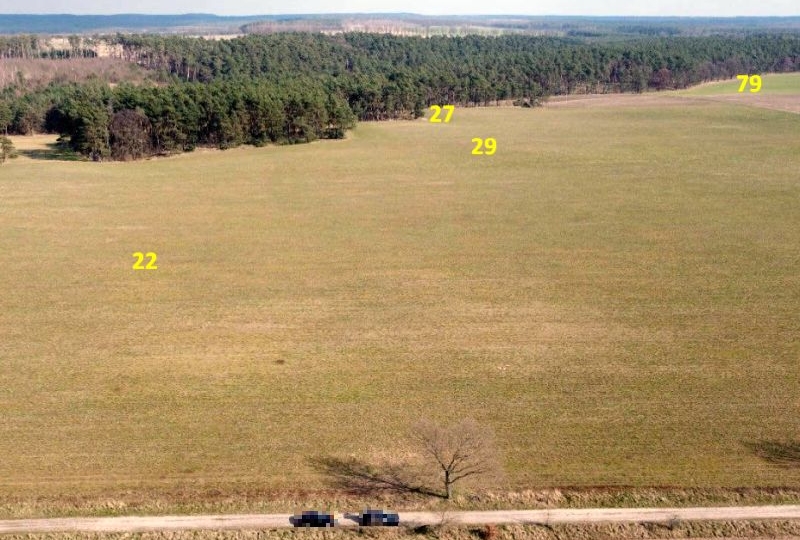 Land-/Forstwirtschaft in , 14828 Görzke - Bild 4