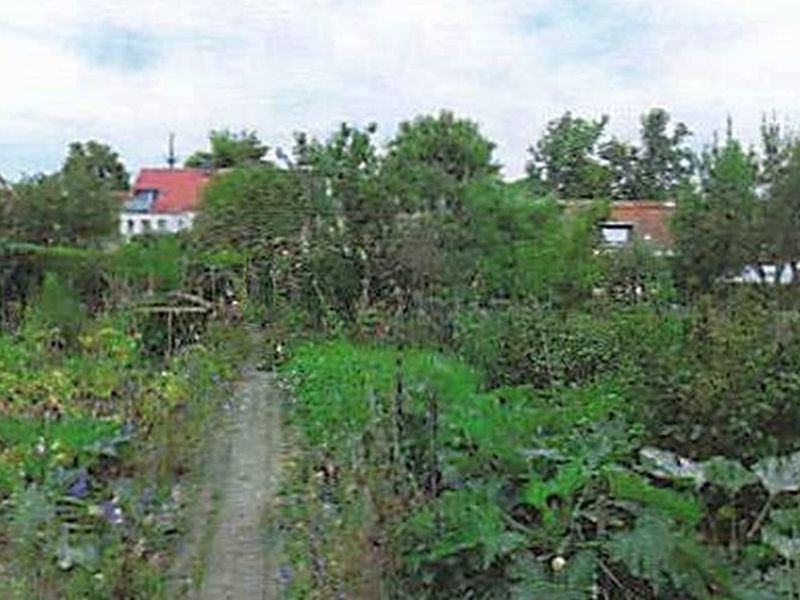 Einfamilienhaus in Vereinsstraße 21, 14770 Brandenburg/Havel - Bild 4