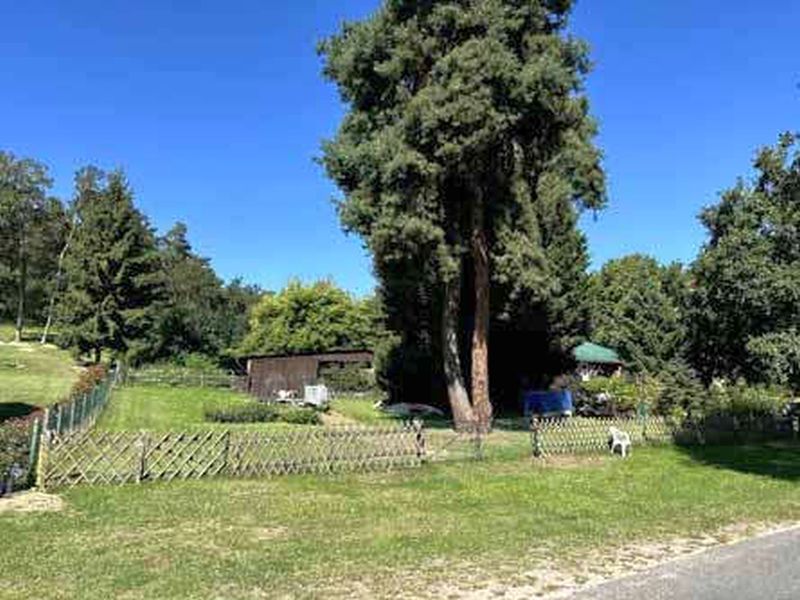 Sonstiges, Sonstiges 0002 K 0004-2025 Eichholzweg, 14542 Werder (Havel) OT Töplitz