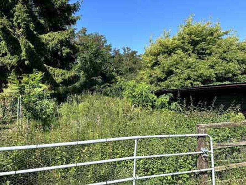 Sonstiges, Sonstiges in Eichholzweg, 14542 Werder (Havel) OT Töplitz - Bild 4