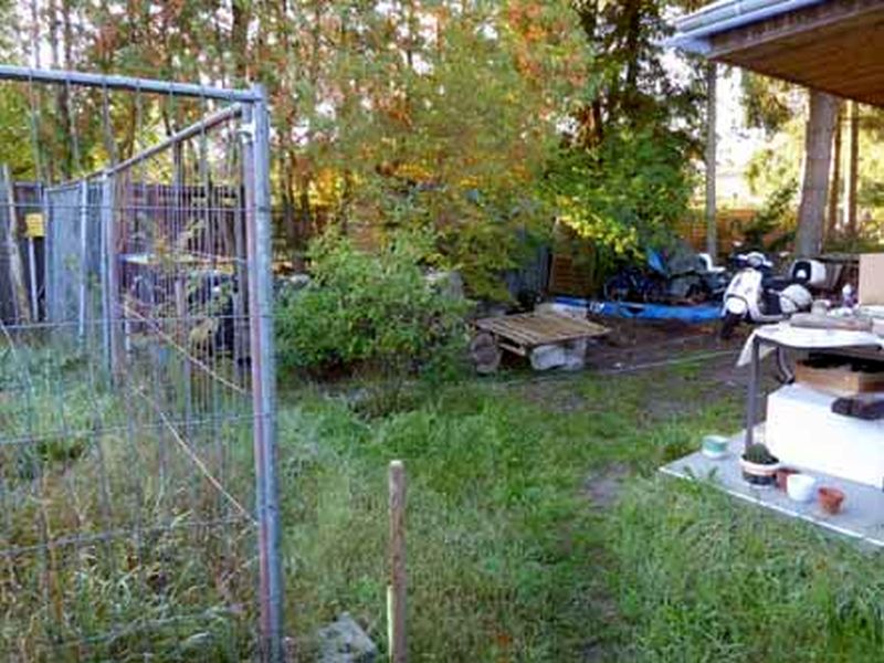 Einfamilienhaus in Seegefelder Straße 142, 14612 Falkensee - Bild 5