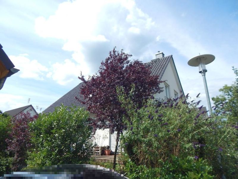 Einfamilienhaus in Fintelmannstraße 33, 14469 Potsdam - Bild 3