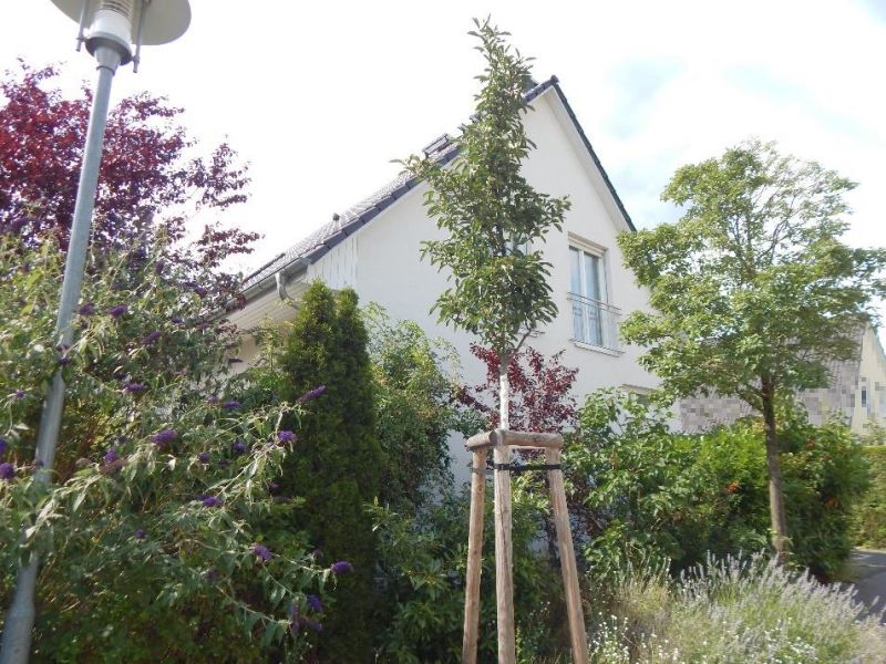Einfamilienhaus in Fintelmannstraße 33, 14469 Potsdam - Bild 2