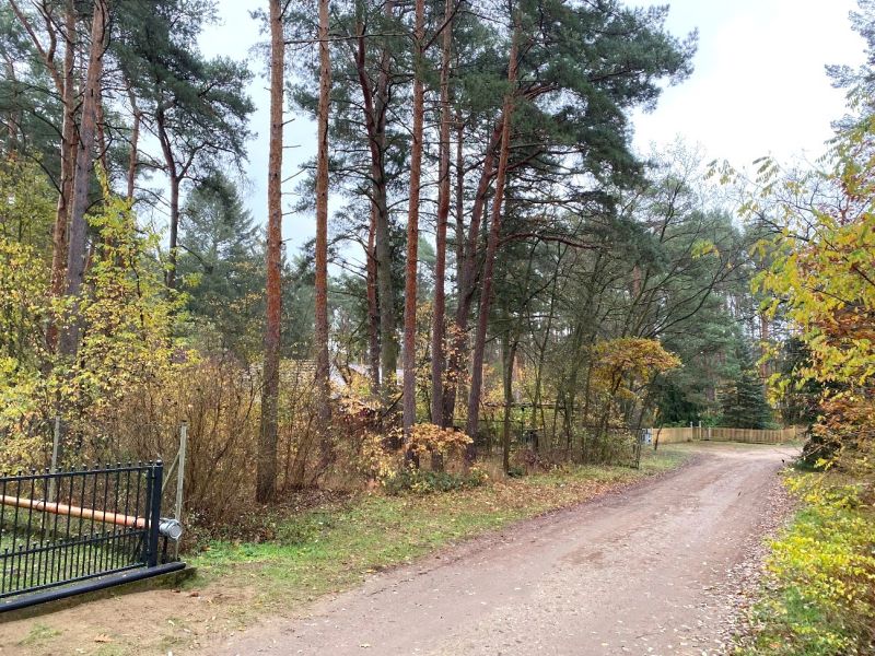 Land-/Forstwirtschaft in Nachtigallenweg 39, 14822 Borkheide - Bild 2